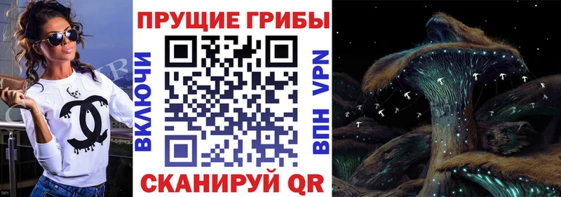 Купить где  Поронайск  Галлюциногенные грибы мухоморы 
